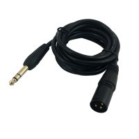 XLR Male to TRS Male