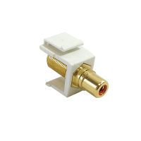 WP IN FR RD  23934 1